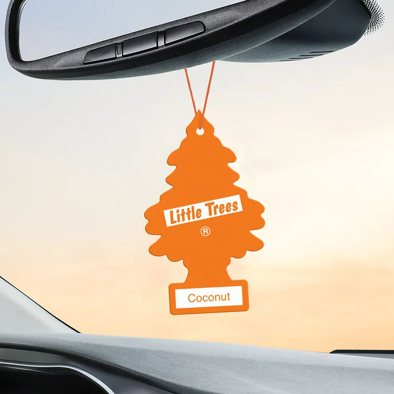 Coconut Little Tree Hanging in Car