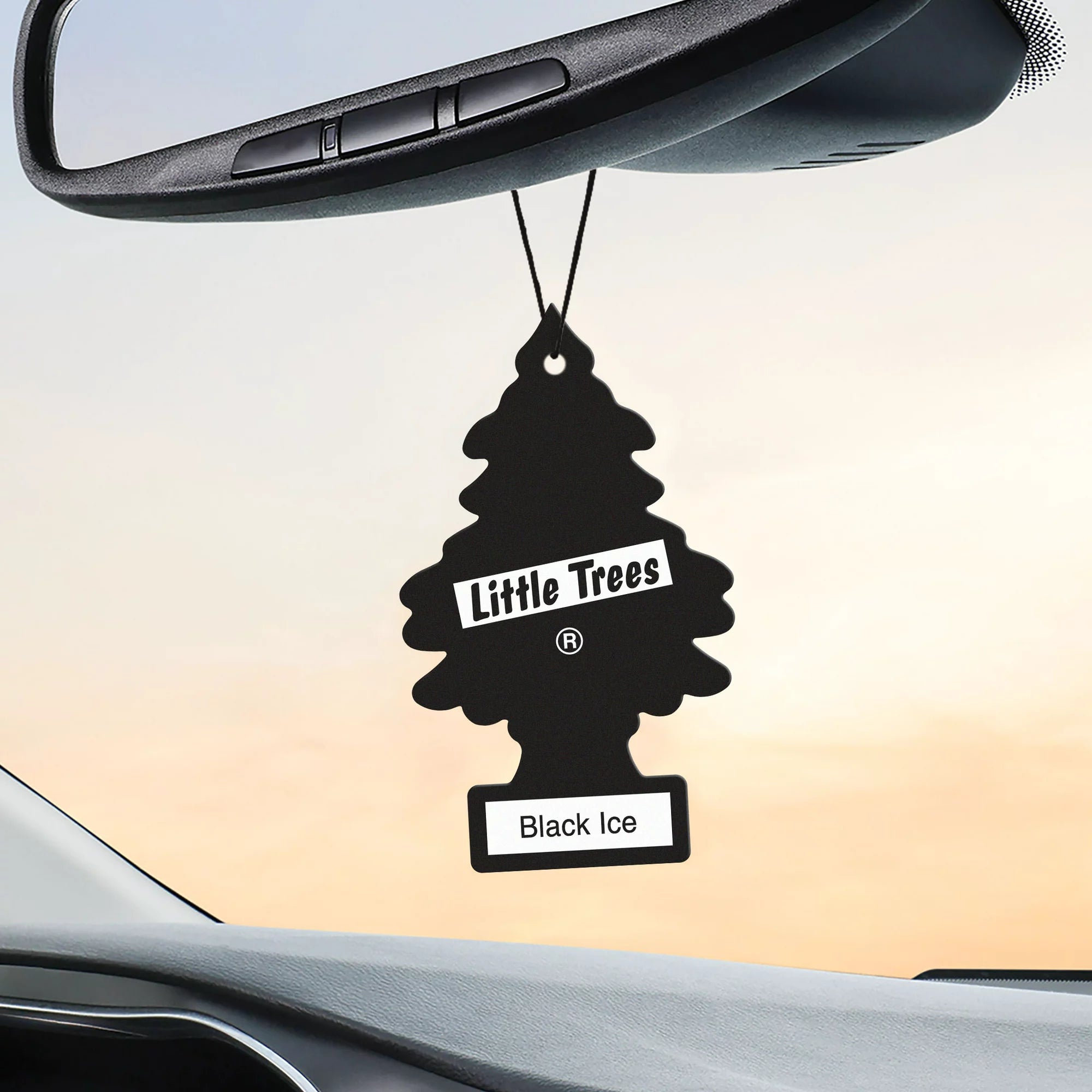 Little Trees Black Ice Air Freshener Hanging in Car