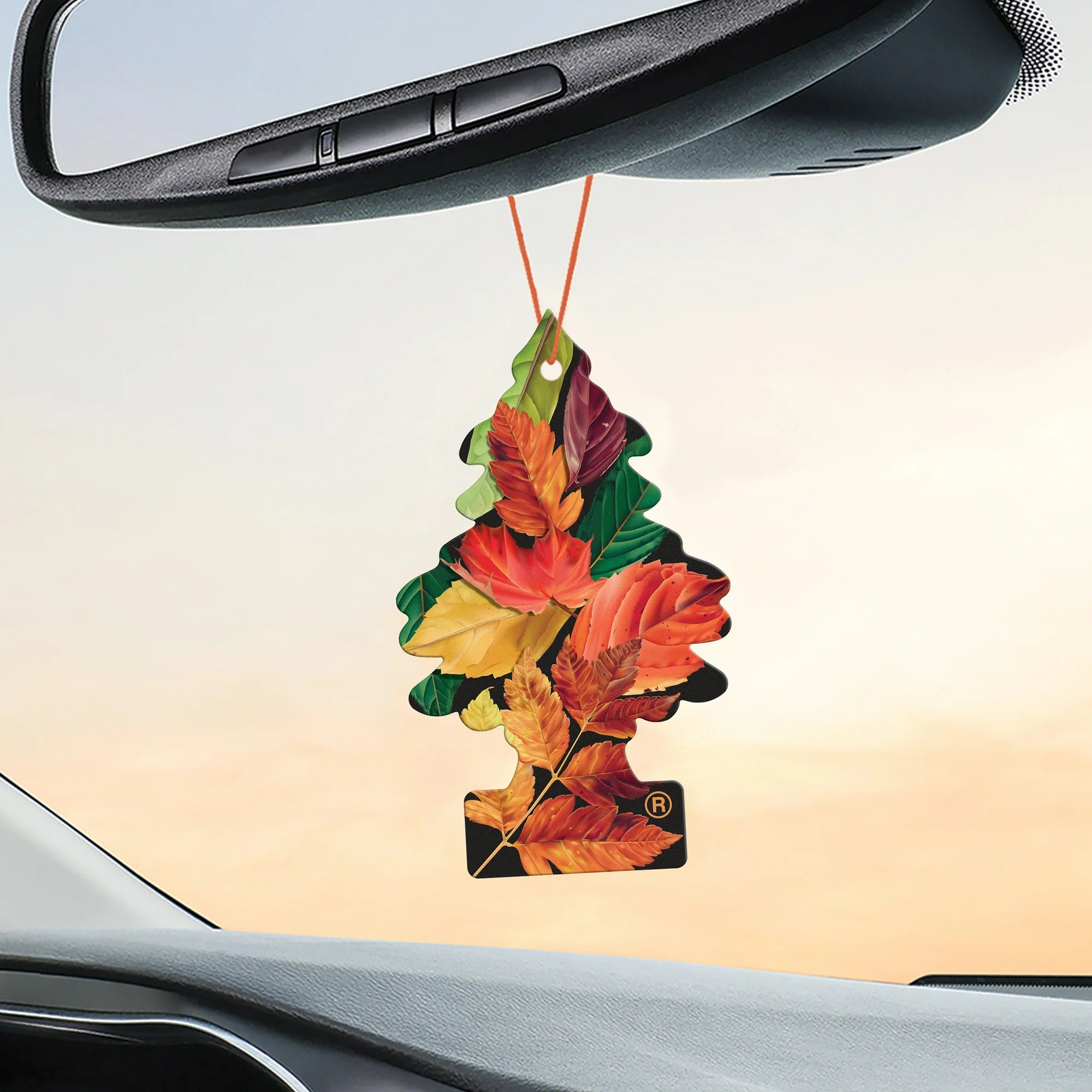 Little Trees Air Freshener- Crisp Autumn Air- 3 Pack