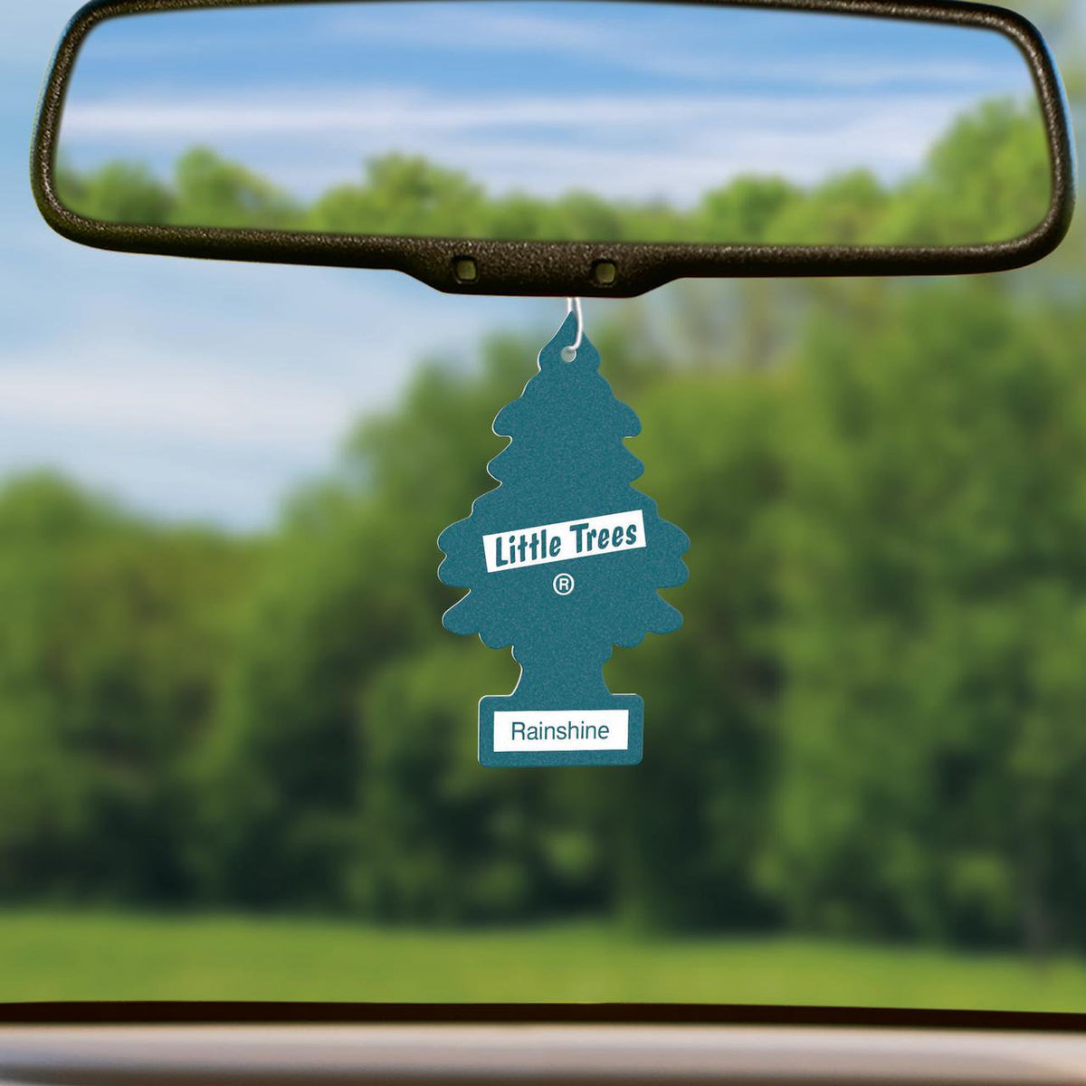 Little Trees Rainshine Air Freshener Hanging in Car