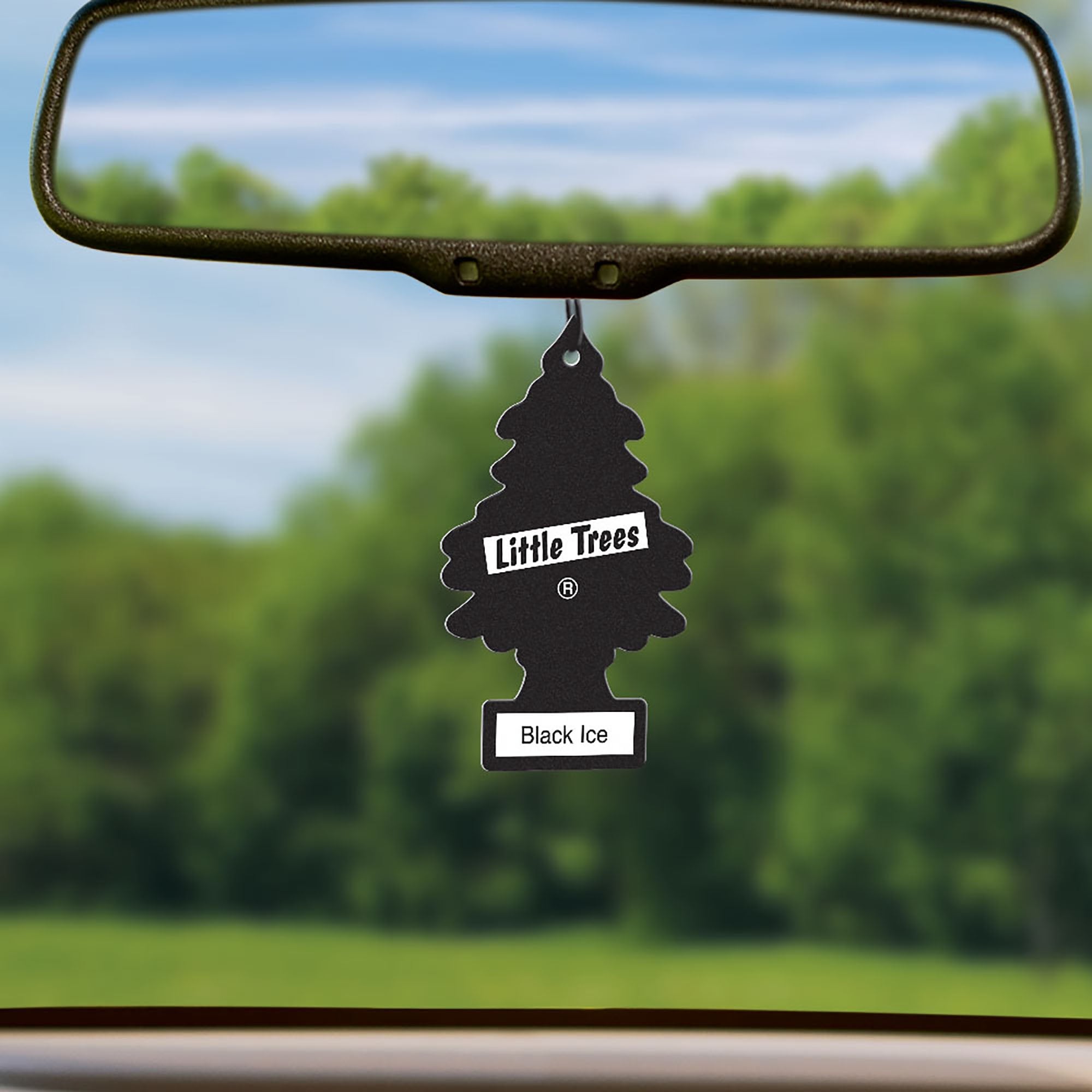 Little Trees Black Ice Air Freshener Hanging in Car