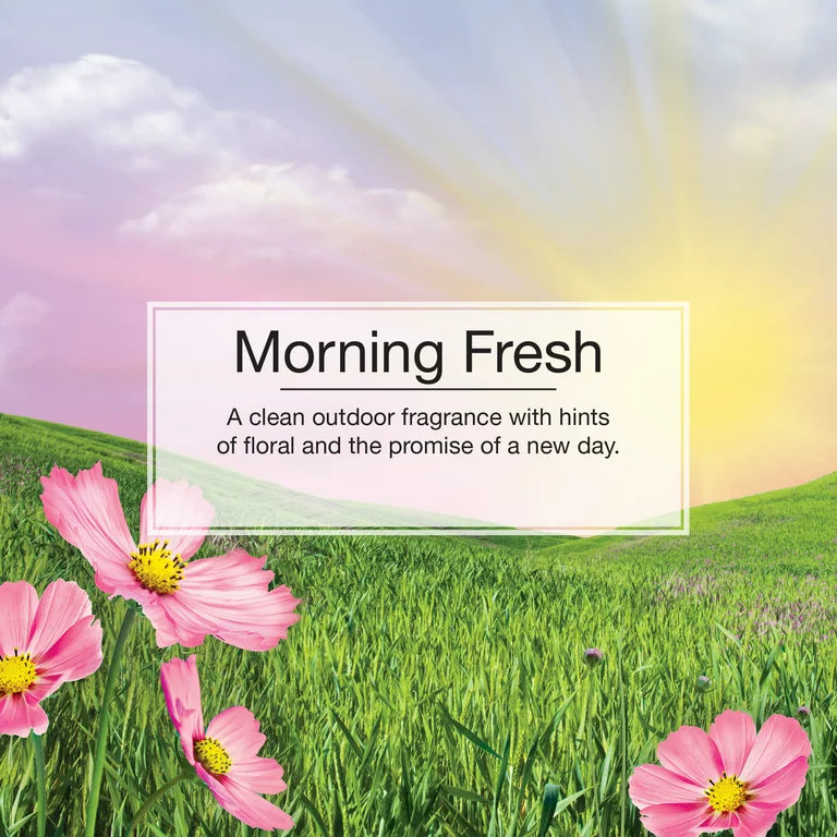 Informational Banner for Morning Fresh Little Tree