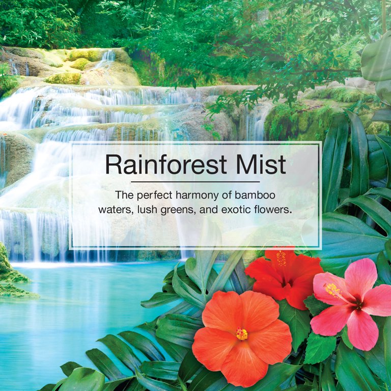 Informational Banner for Little Trees Rainforest Mist Scent
