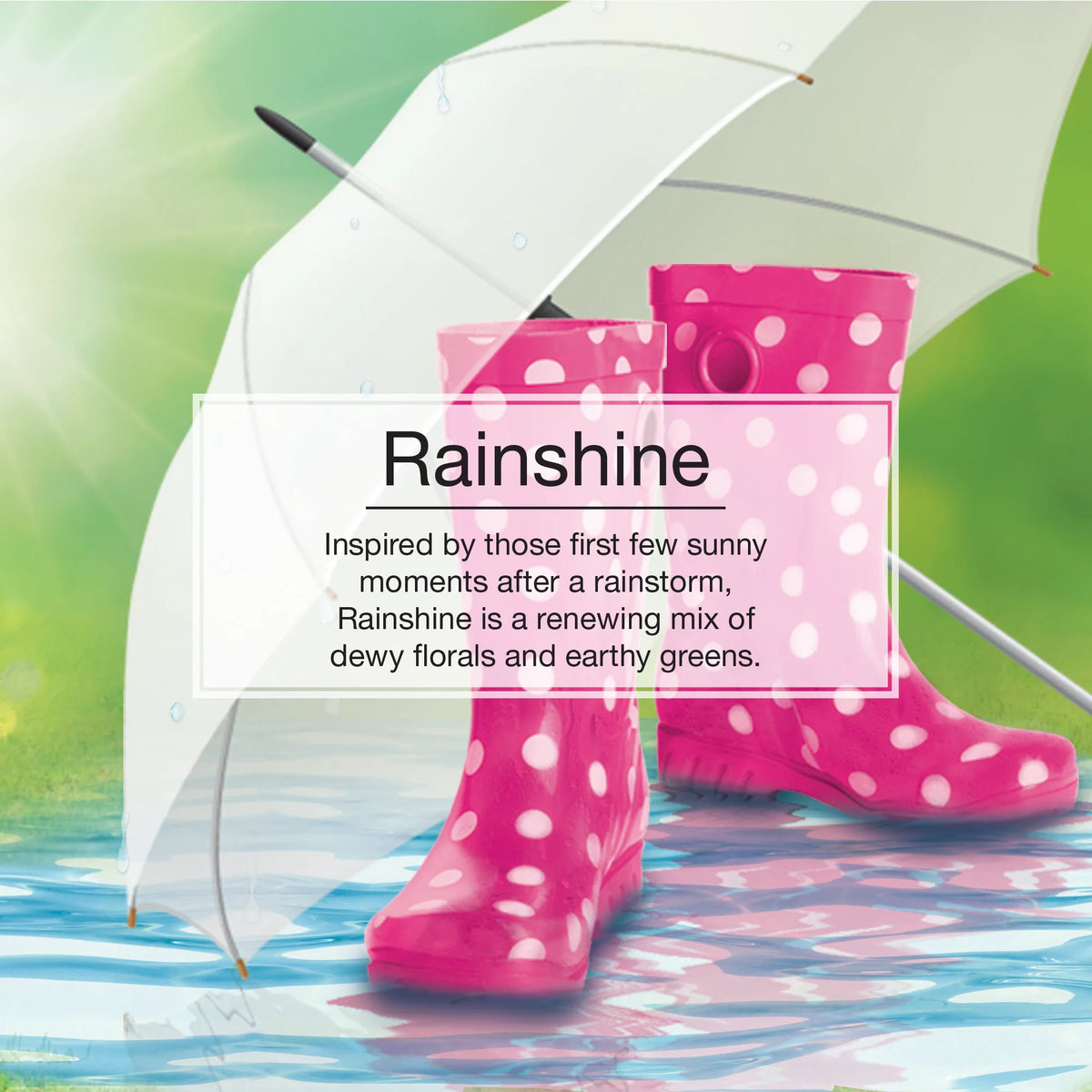 Little Trees Air Freshener- Rainshine- 2 Pack