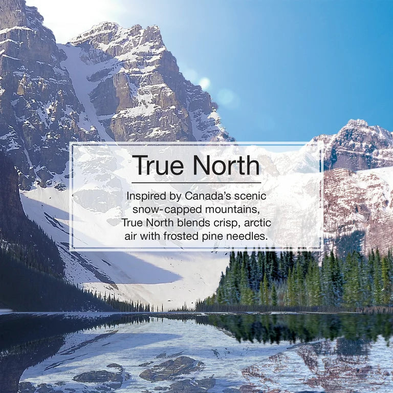 Informational Banner for Little Trees True North Scent