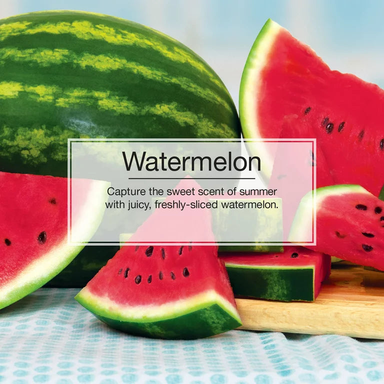 Informational Banner for Little Trees Watermelon Scent