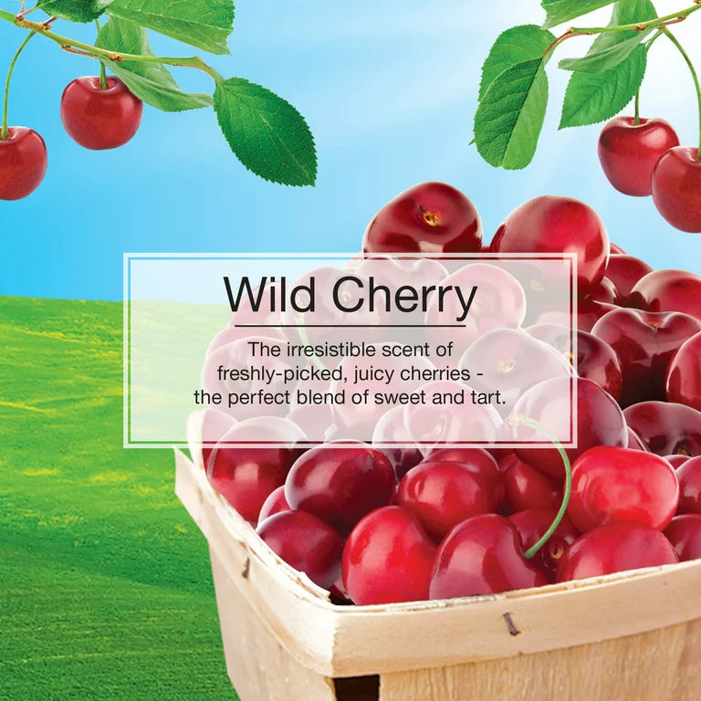 Informational Banner for Little Trees Wild Cherry Scent 2 Pack