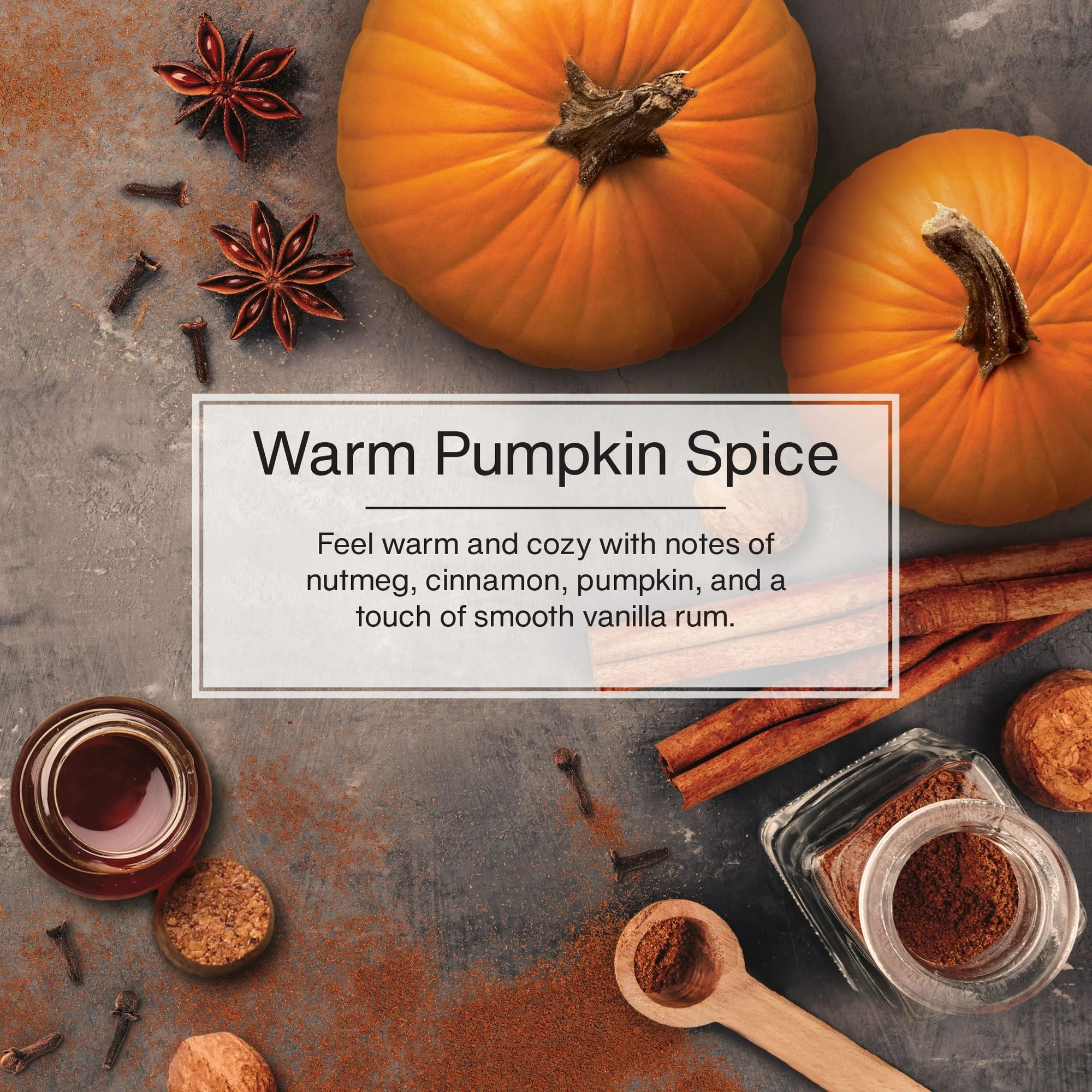 Little Trees Air Freshener- Warm Pumpkin Spice- 3 Pack