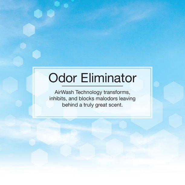 Informational Poster for Odor Eliminator Little Tree Spray 
