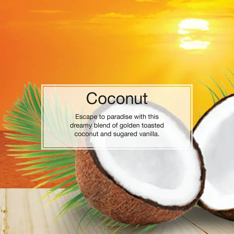 Informational Banner About Little Trees Coconut Scent