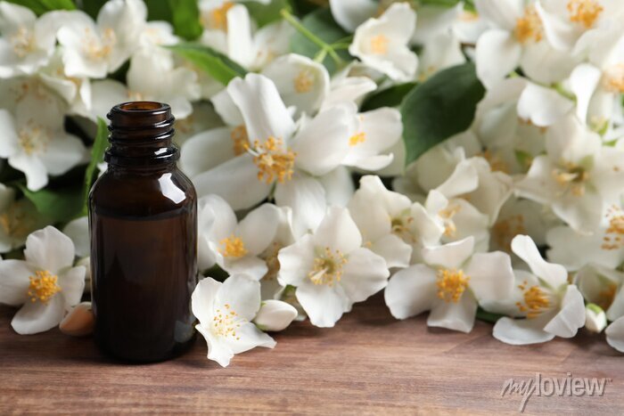 Jasmine Fragrance Poster