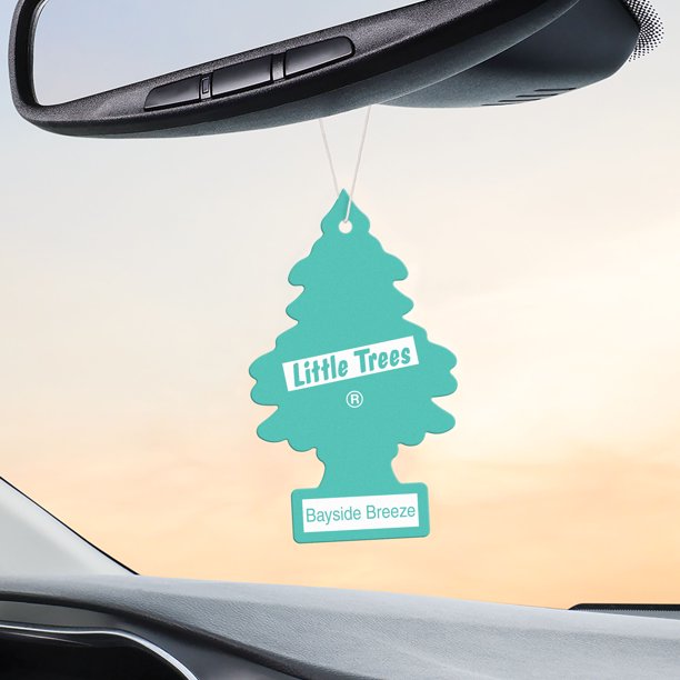 Little Trees Bayside Breeze Air Freshener Hanging in Car