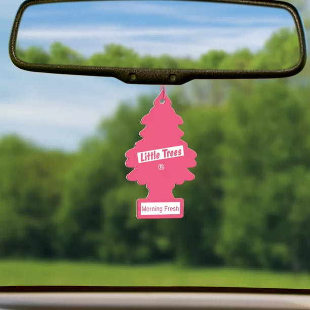 Little Trees Morning Fresh Air Freshener Hanging in Car