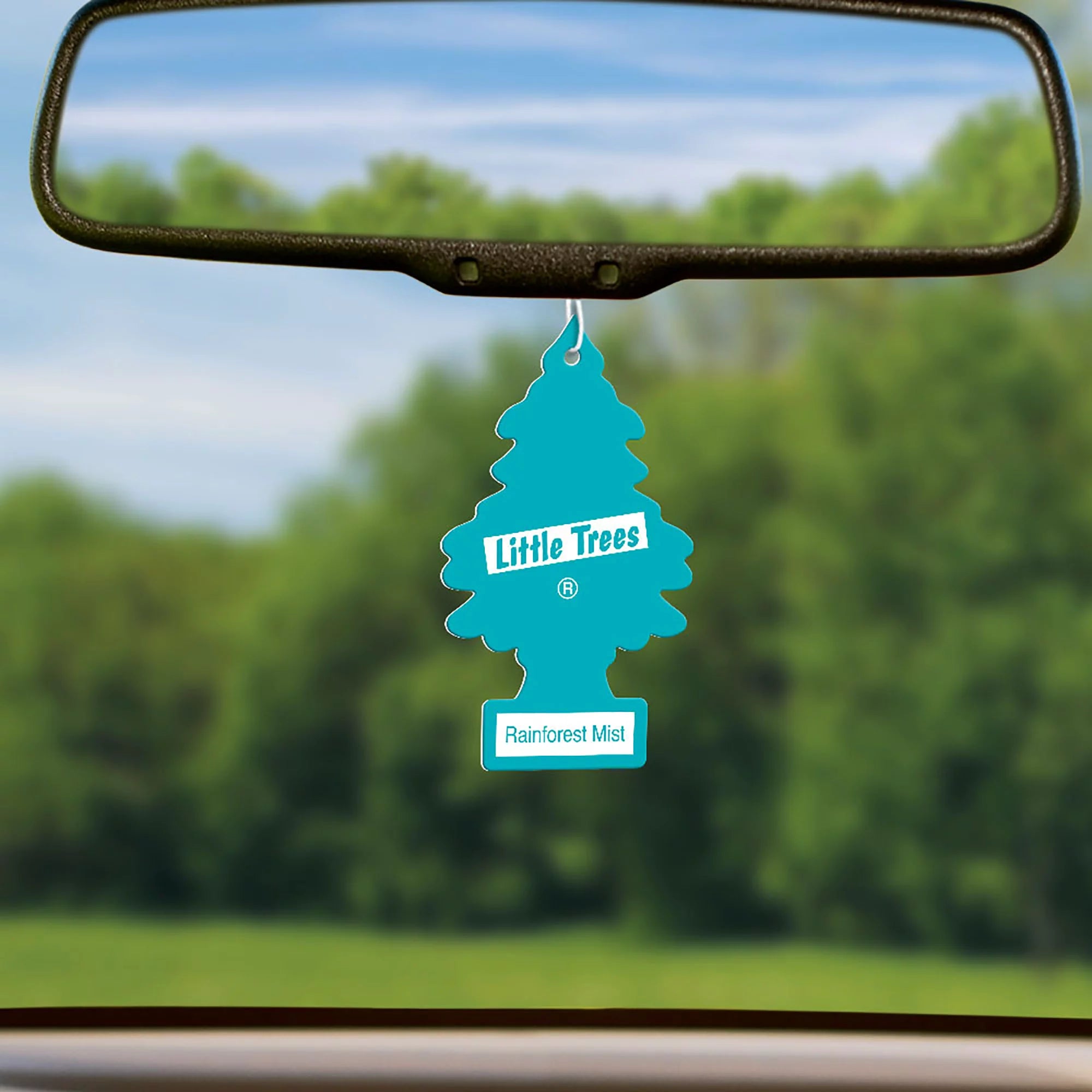 Little Trees Rainforest Mist Air Freshener Hanging in Car