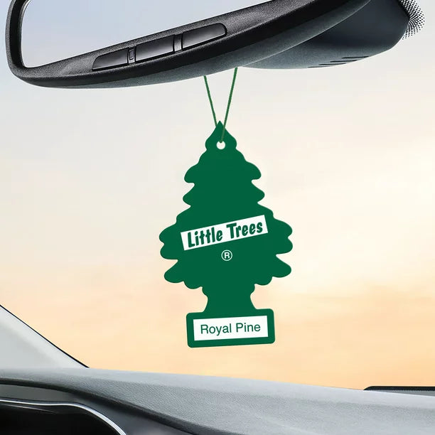 Little Trees Royal Pine Air Freshener In Car