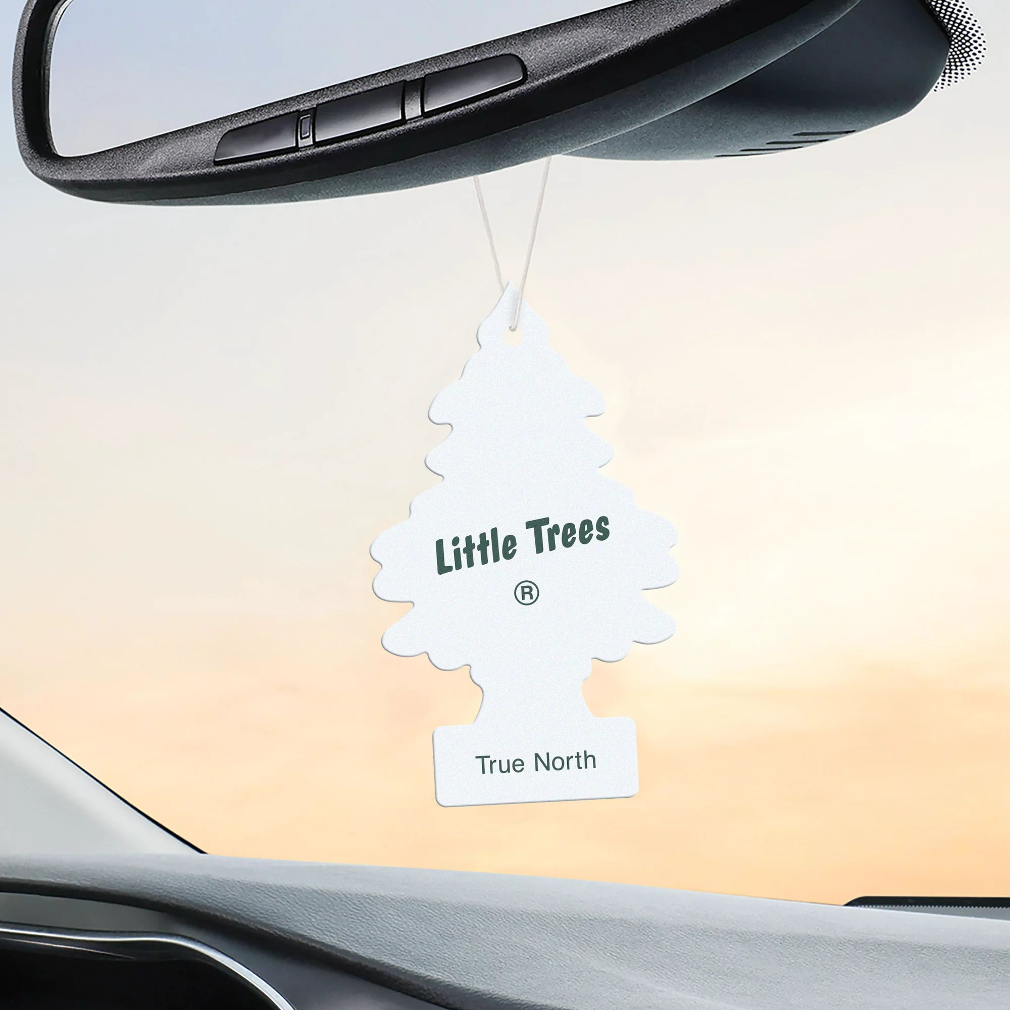 Little Trees True North Air Freshener Hanging in Car 