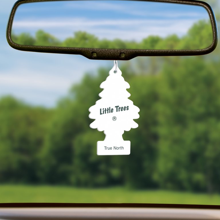    Little Trees True North Air Freshener Hanging in Car