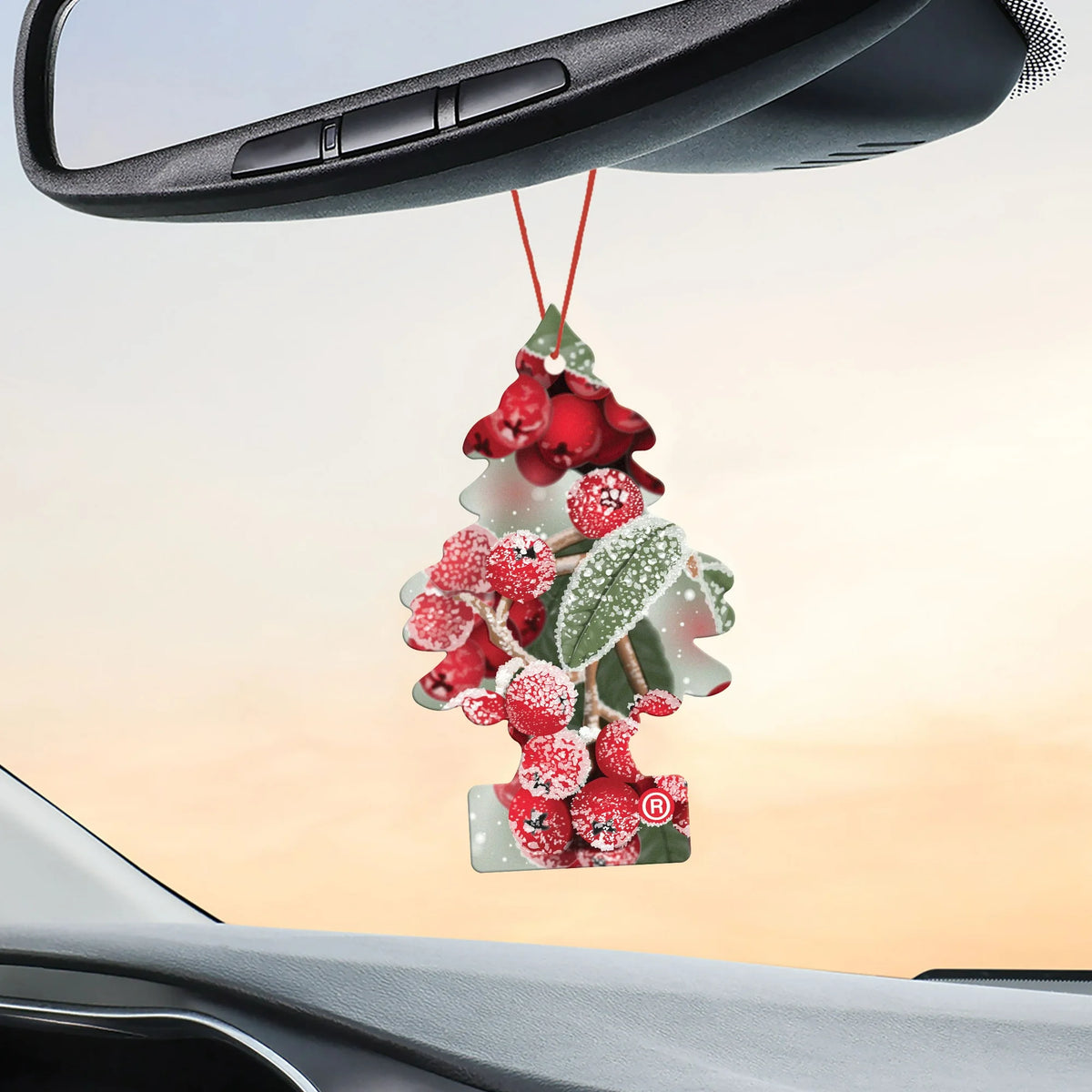 Little Trees Air Freshener- Winterberry- 3 Pack