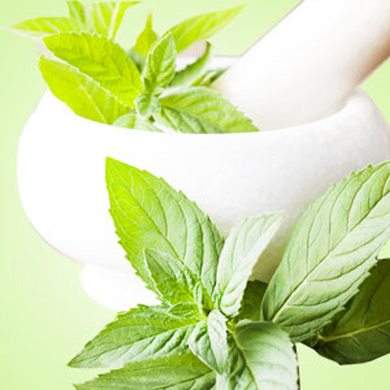 Peppermint Fragrance Poster