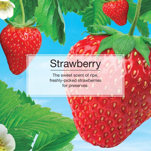Informational Poster for Strawberry Little Tree 